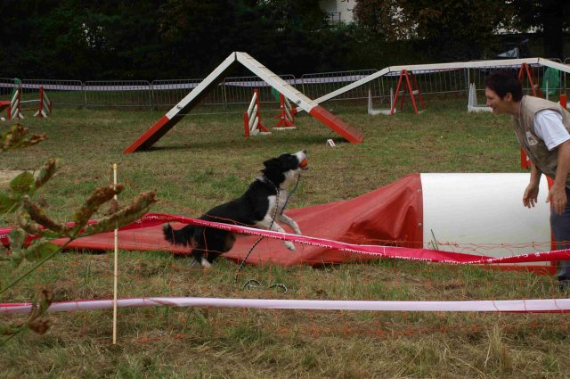 foire-haricots 2011-09-17et18